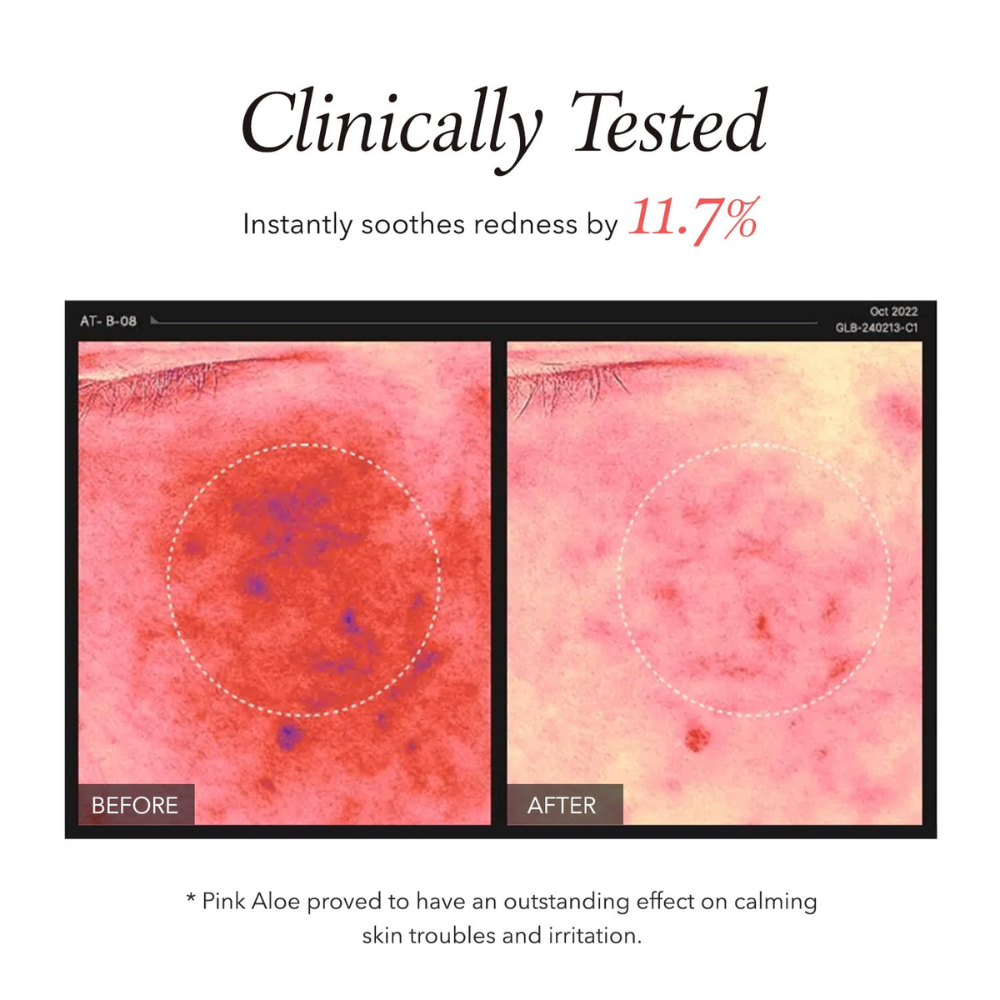 APRILSKIN - Pink Aloe Pack Cleanser [120g]