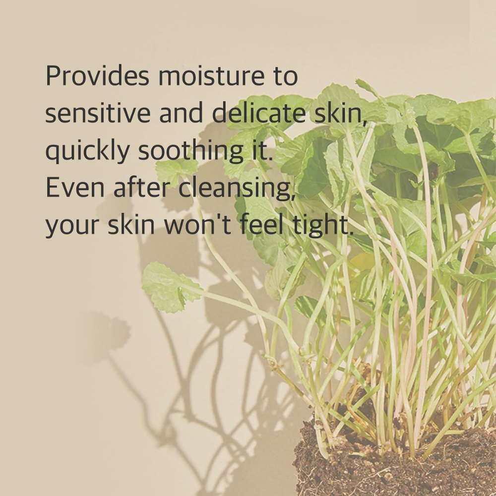 MIXSOON - Centella Cleansing Foam [150ml]